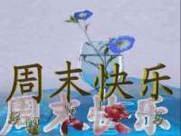 宁夏荣昌养殖专业合作社