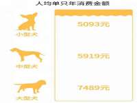 宁夏荣昌养殖专业合作社