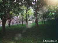 宁夏荣昌养殖专业合作社