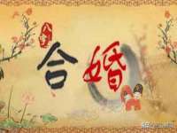宁夏荣昌养殖专业合作社
