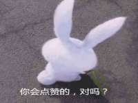 宁夏荣昌养殖专业合作社
