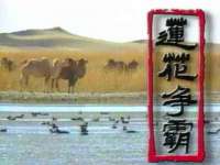 宁夏荣昌养殖专业合作社