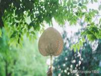 宁夏荣昌养殖专业合作社
