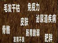 宁夏荣昌养殖专业合作社