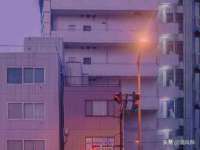 宁夏荣昌养殖专业合作社
