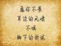 宁夏荣昌养殖专业合作社