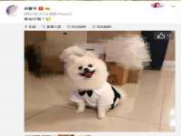 宁夏荣昌养殖专业合作社