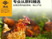 宁夏荣昌养殖专业合作社