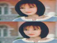 宁夏荣昌养殖专业合作社