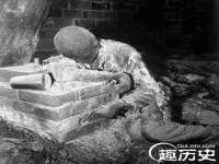 宁夏荣昌养殖专业合作社