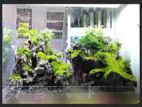 宁夏荣昌养殖专业合作社