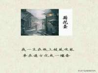 宁夏荣昌养殖专业合作社