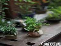 宁夏荣昌养殖专业合作社
