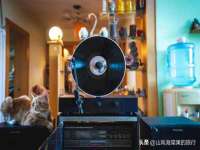 宁夏荣昌养殖专业合作社