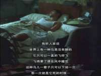 宁夏荣昌养殖专业合作社