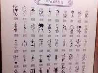 宁夏荣昌养殖专业合作社
