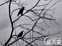 宁夏荣昌养殖专业合作社