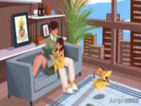 宁夏荣昌养殖专业合作社