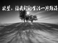 宁夏荣昌养殖专业合作社