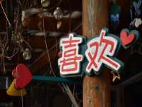 宁夏荣昌养殖专业合作社