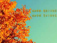 宁夏荣昌养殖专业合作社