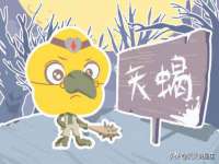 宁夏荣昌养殖专业合作社