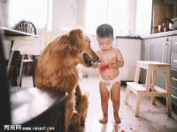 宁夏荣昌养殖专业合作社