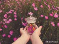 宁夏荣昌养殖专业合作社