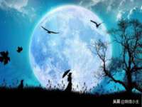 宁夏荣昌养殖专业合作社