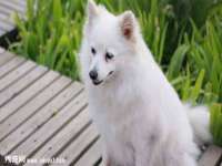 宁夏荣昌养殖专业合作社