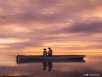 宁夏荣昌养殖专业合作社