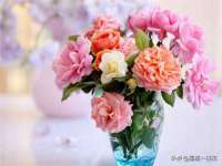 宁夏荣昌养殖专业合作社