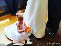宁夏荣昌养殖专业合作社