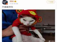 宁夏荣昌养殖专业合作社