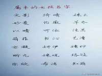 宁夏荣昌养殖专业合作社