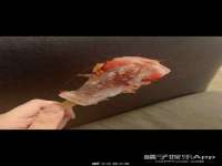 宁夏荣昌养殖专业合作社