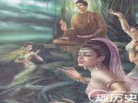 宁夏荣昌养殖专业合作社